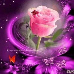 Meet your Posher, Ernest